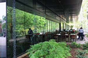 Atlanta Botanical Gardens Café Renovation